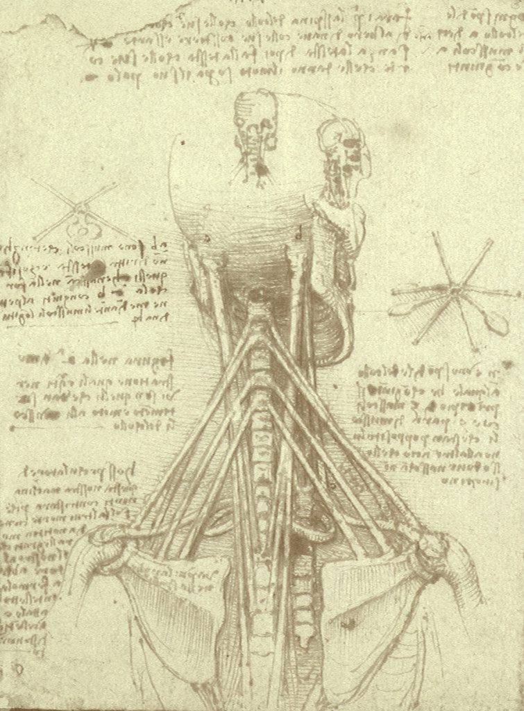 Free Vintage Anatomy Ephemera Archives - The Graffical Muse