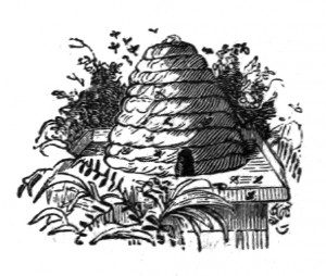 Vintage Bee Hive Clip Art Illustration