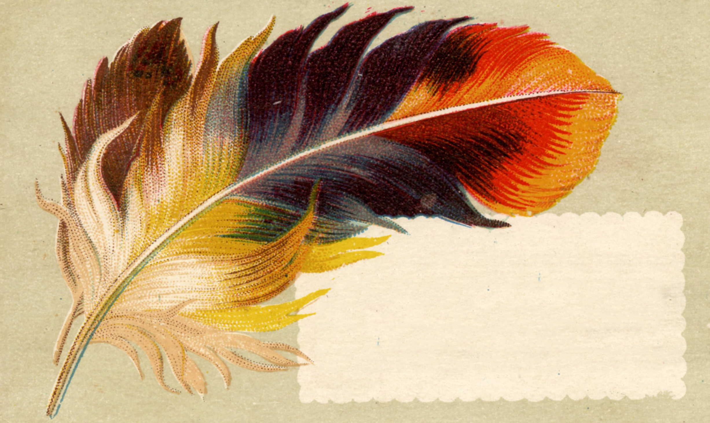 Victorian Trade Card