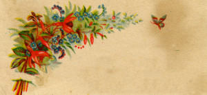 Victorian Trade Card