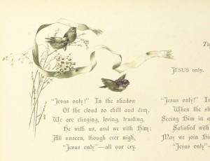 Vintage Bird Illustration - orignal