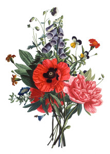 Free Vintage Images - Flower bouquet