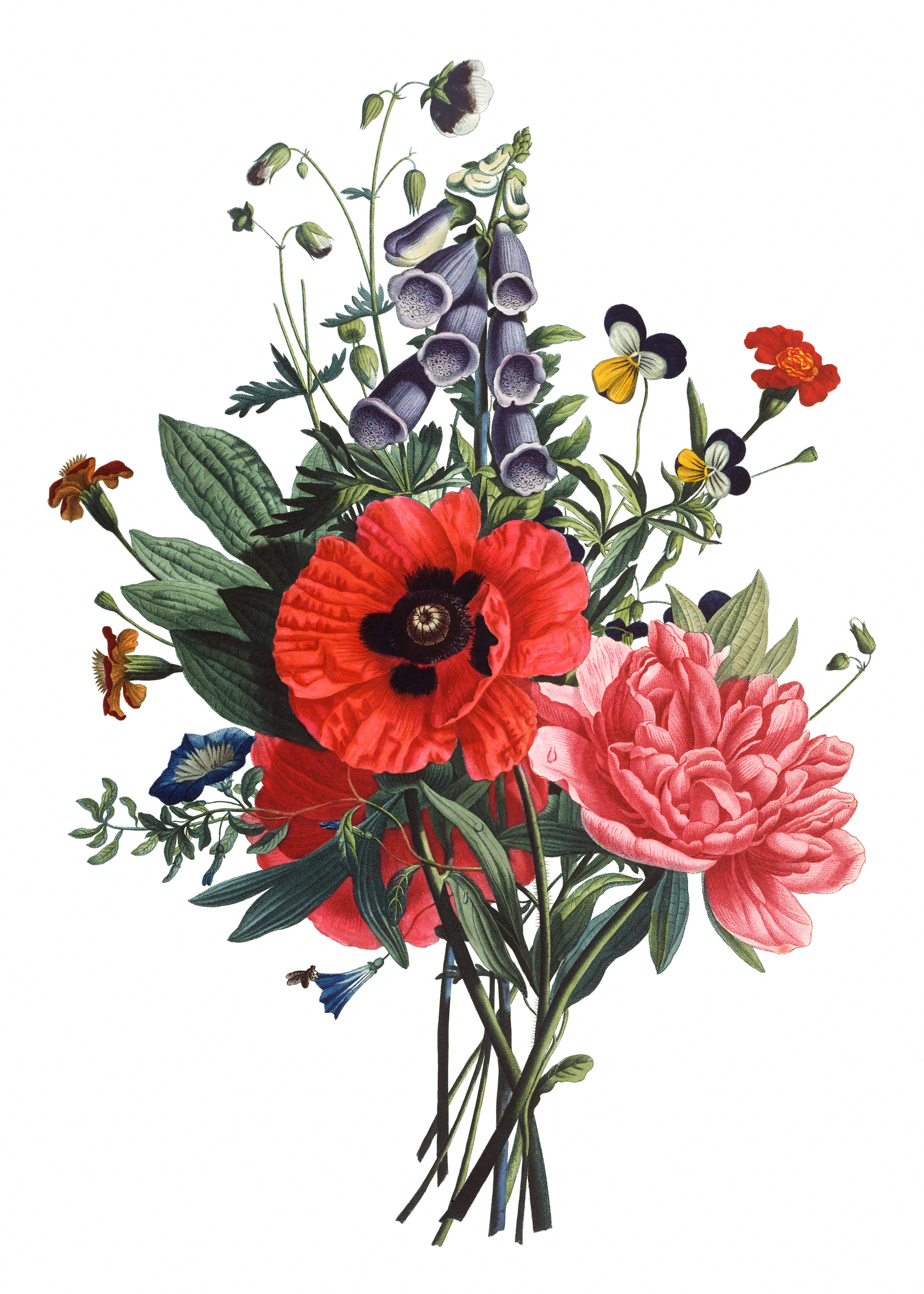 Free Vintage Images - Flower bouquet