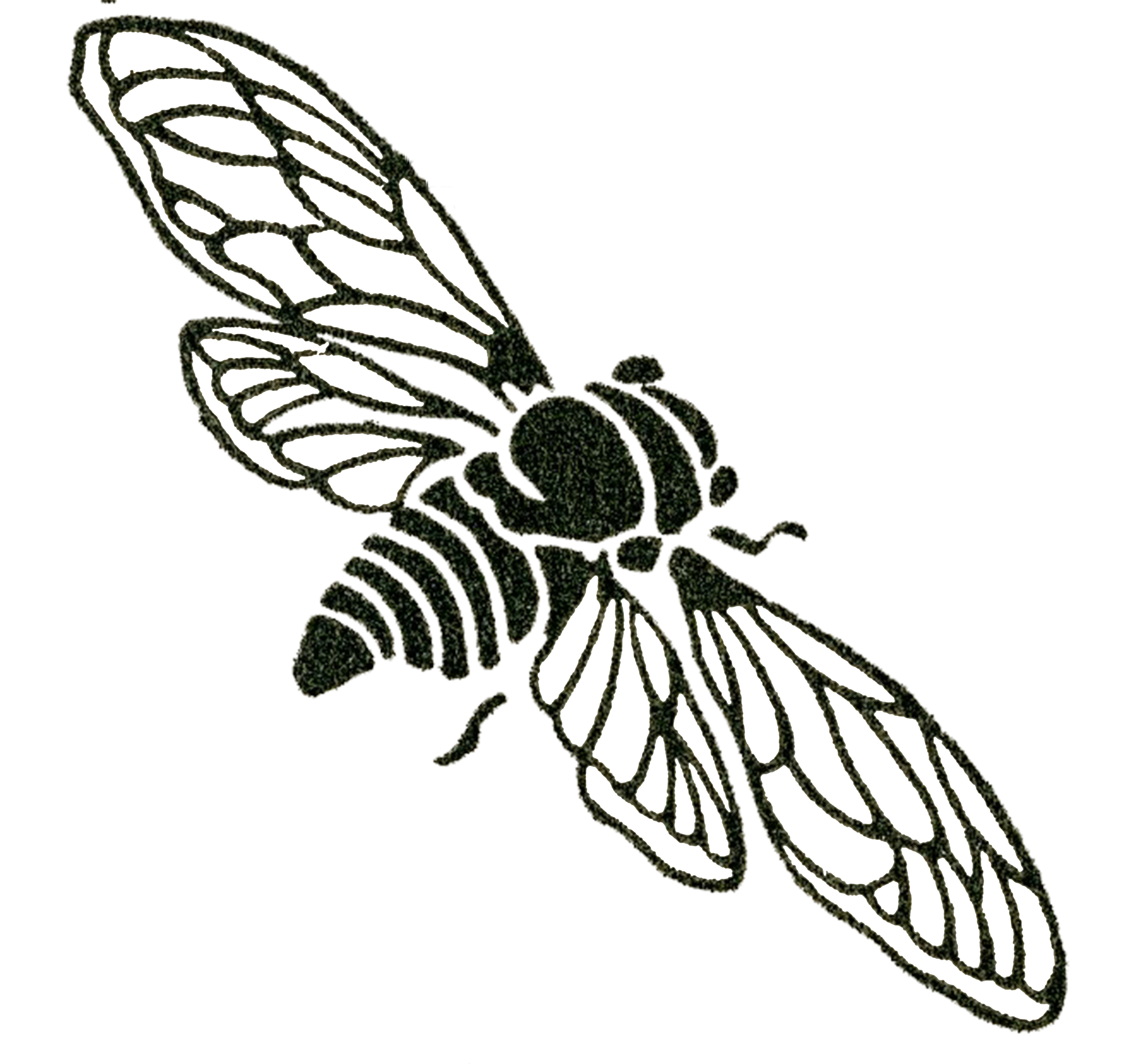 Vintage Bee Illustration