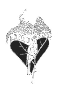 vintage bird illustration