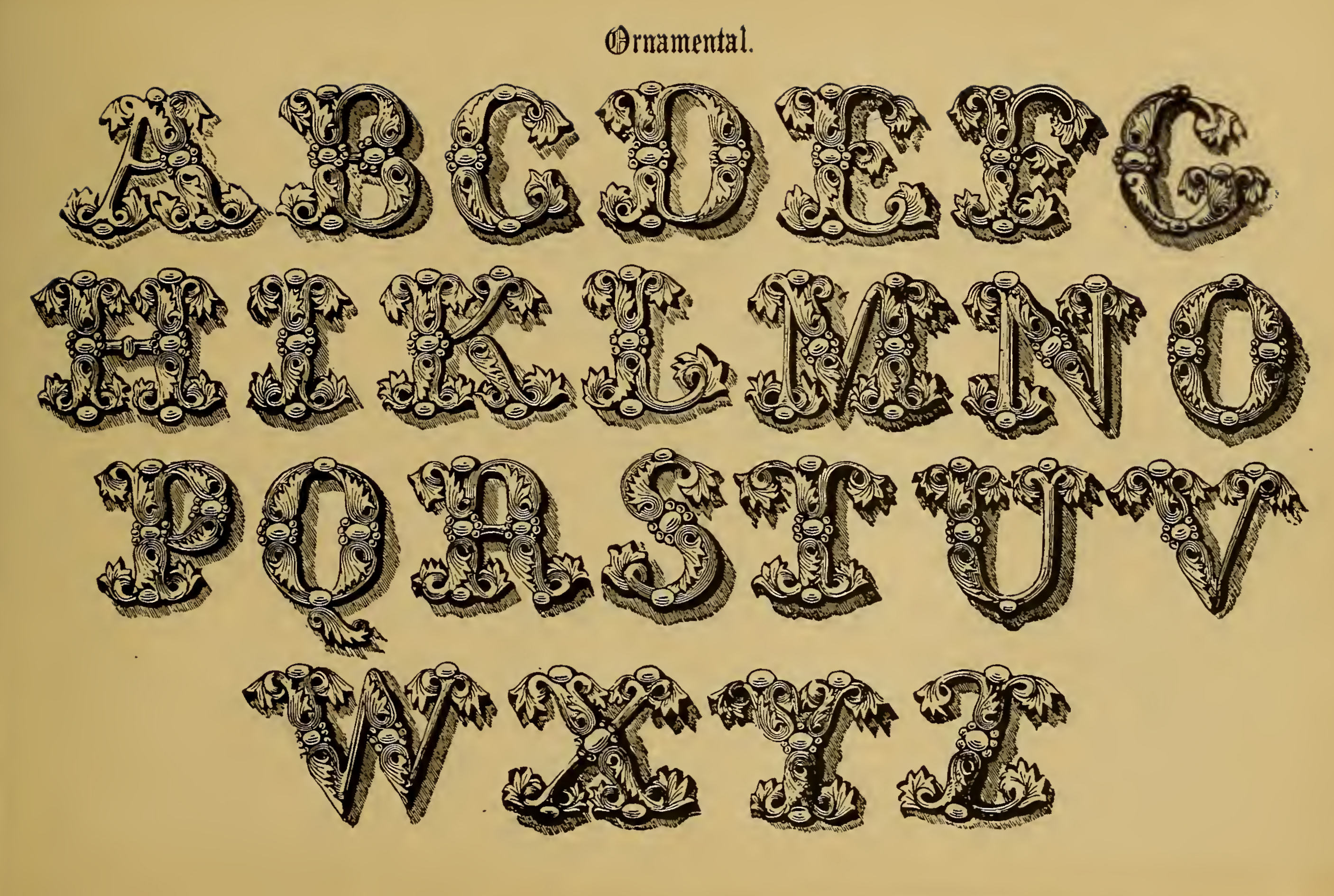 Vintage Typography