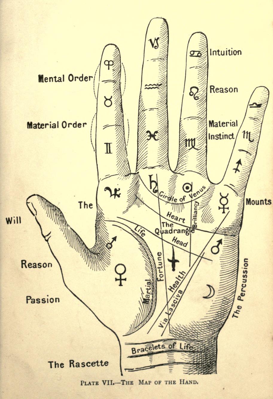 Vintage Palmistry Illustration