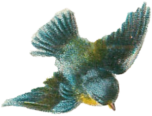 Vintage Bird Illustration