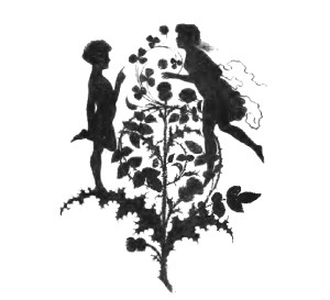 Vintage Flower Fairy Illustration