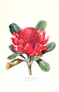 Vintage_Flower_Print