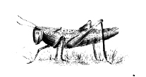 Free Vintage Clip Art