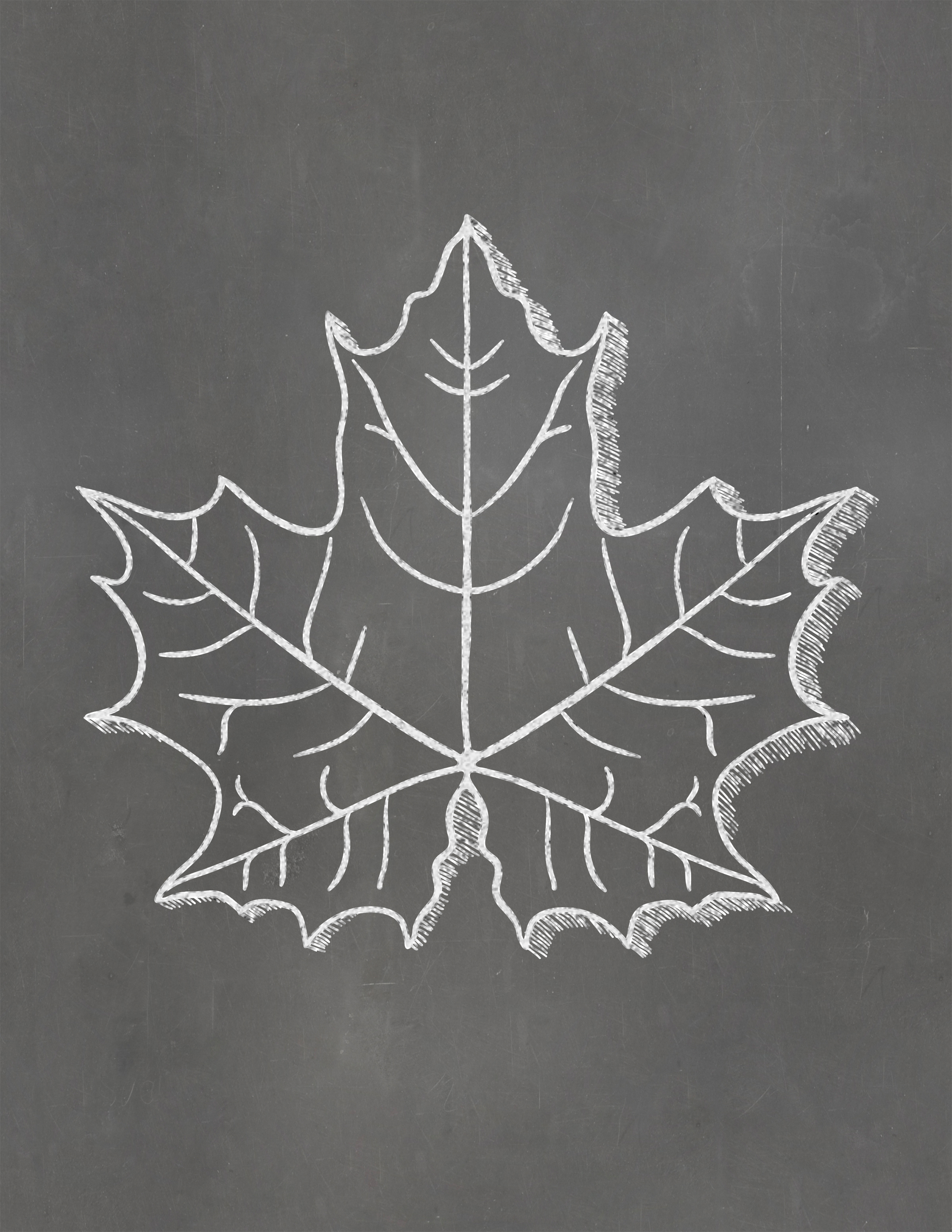 Free Printable Fall Leaf Wall Art Poster