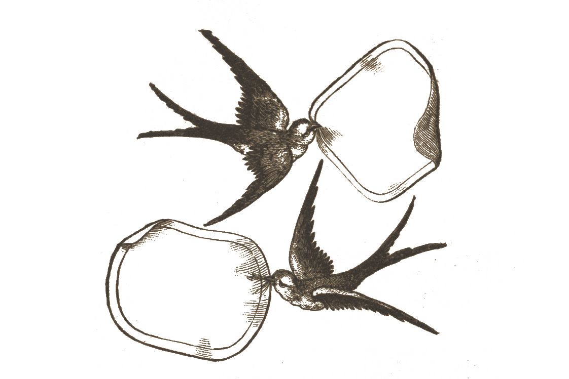 Vintage Bird Clip Art