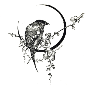 Vintage Bird Clip Art Illustration