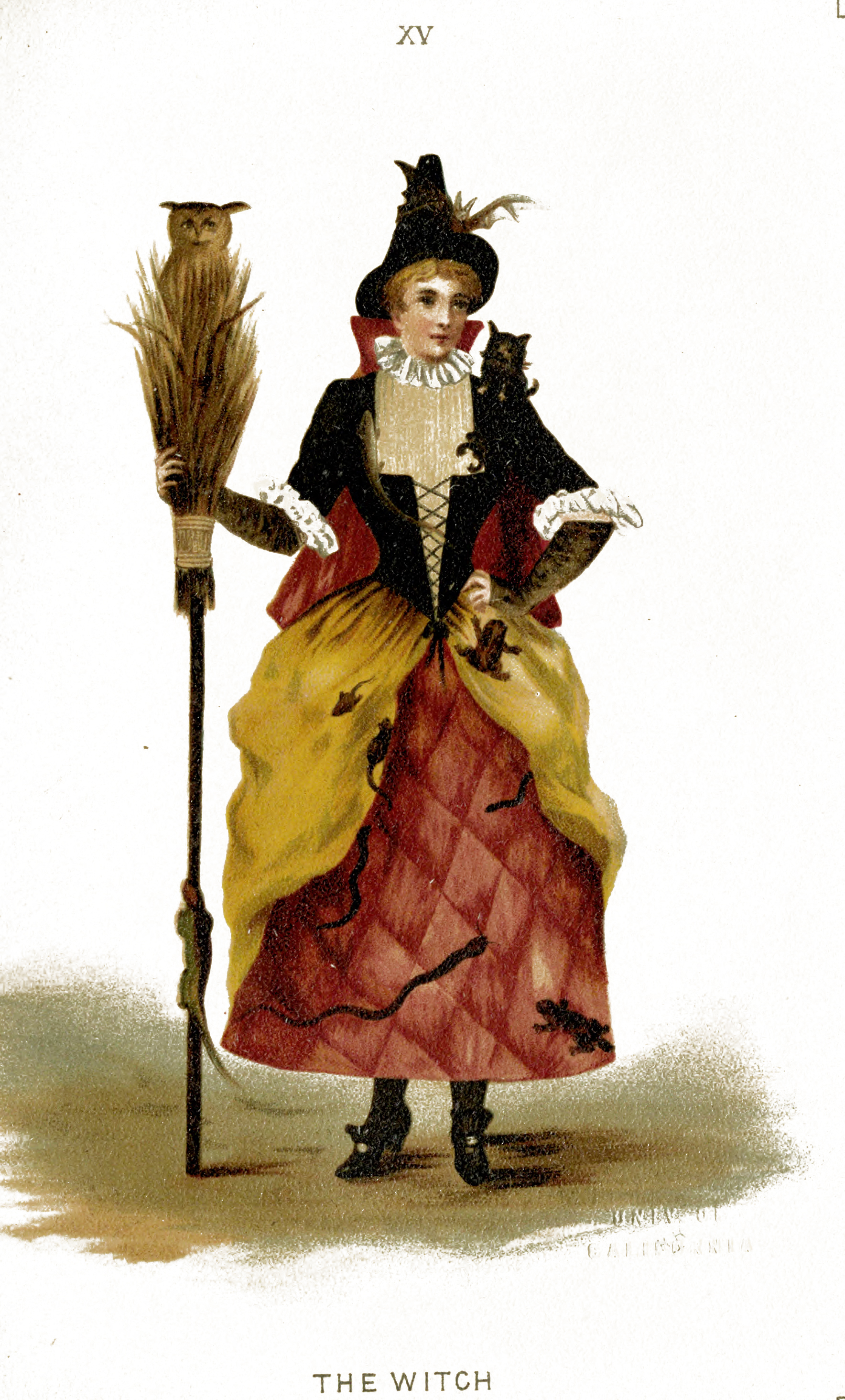 Vintage Witch Illustration