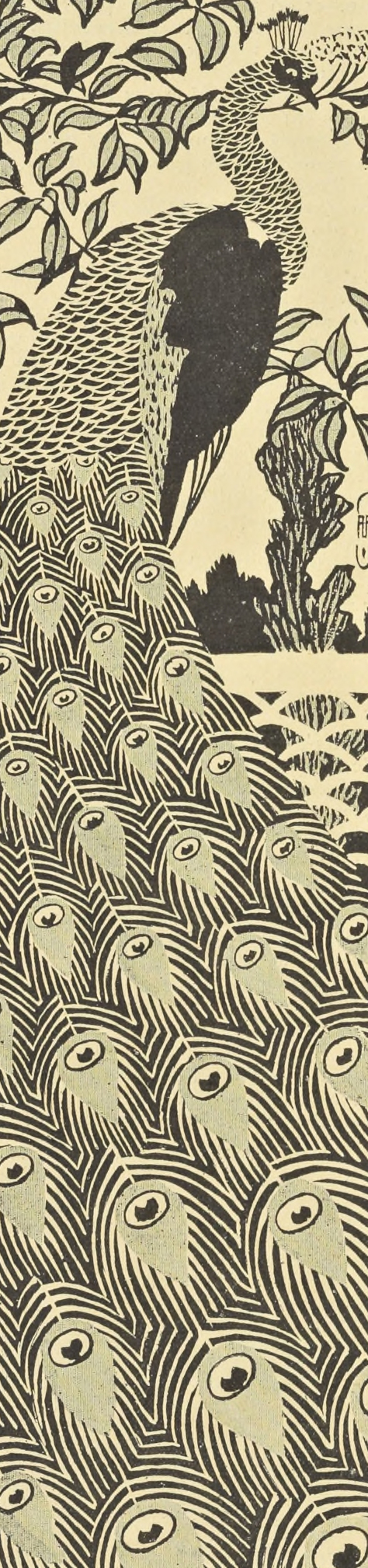 Art Nouveau Peacock Clip Art Illustration
