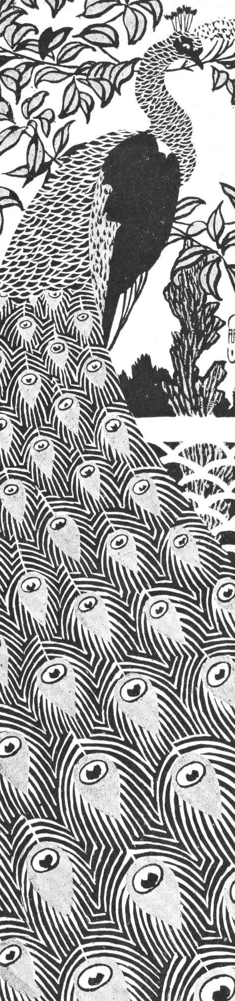 Art Nouveau Peacock Clip Art Illustration