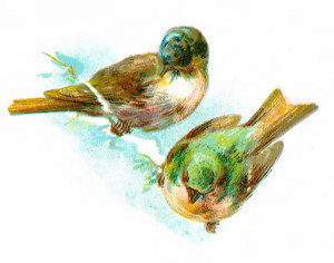 Vintage Bird Clip Art Illustration