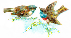 Vintage Bird Clip Art Illustration