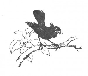 Vintage Illustration, Bird Clip Art