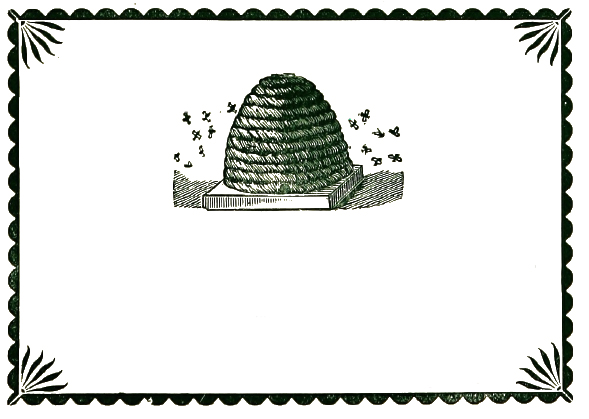 Vintage Clip Art - Honey Labels