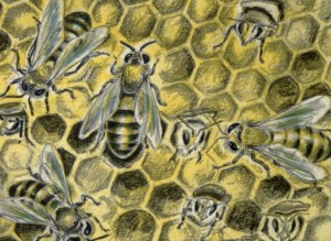 Vintage Illustration Bee Pattern