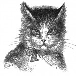 Free Vintage Printable Clip Art Kitten Illustration