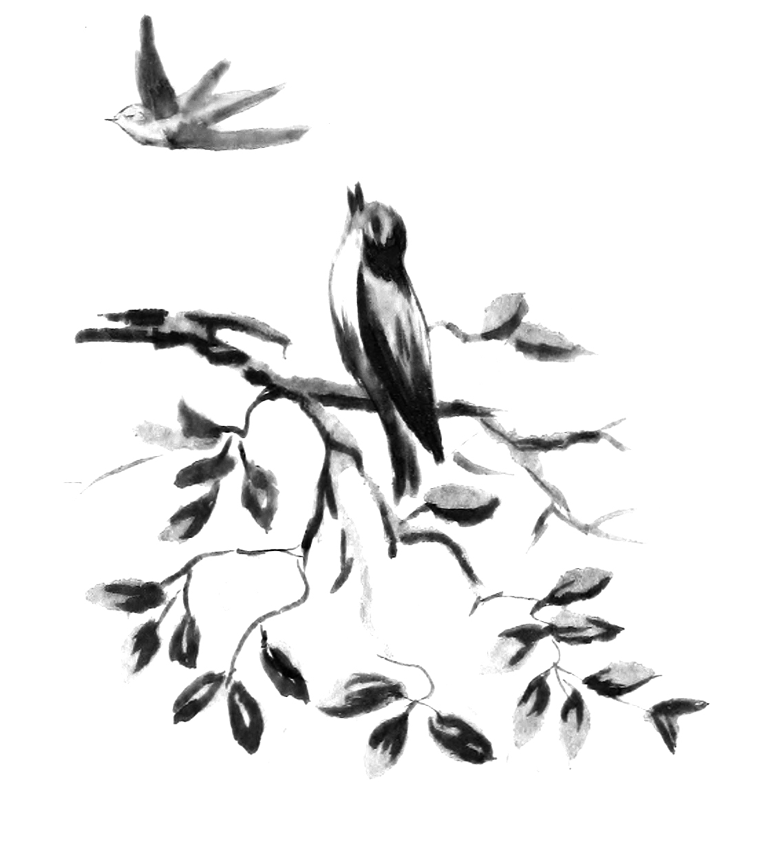 Free Vintage Clip Art - Bird on a Branch Illustration