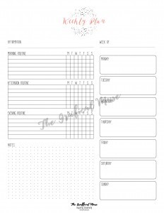 Free Printable Weekly Planner Insert